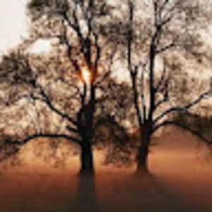 Meet your Posher, Nicholas